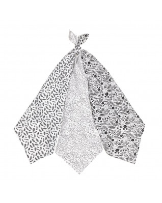 T-TOMI TETRA pleny HIGH QUALITY Black flowers