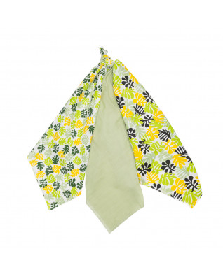 T-TOMI TETRA pleny HIGH QUALITY Tropical 